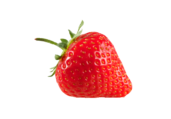 EXTRA HEALING Argan & Shea Lip Balm - Strawberry